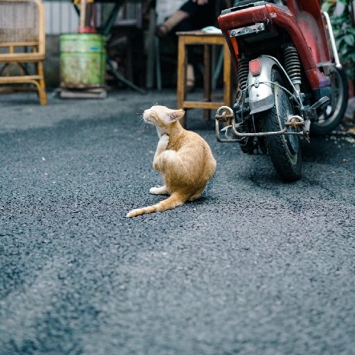 河邊的斜陽(yáng)