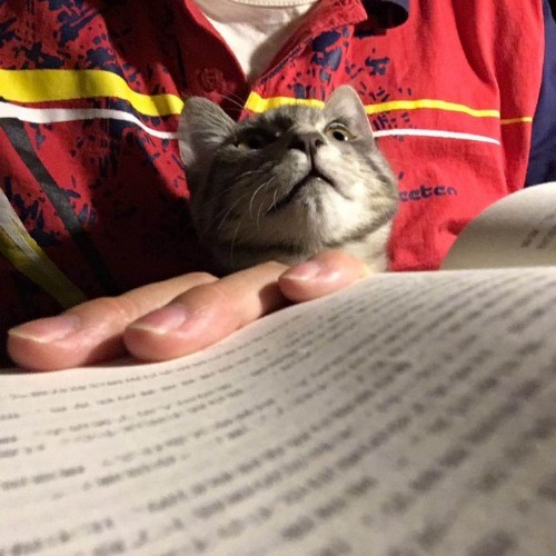 z朱則宇