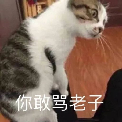 青城有只妖