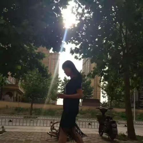 灰色的蝸牛