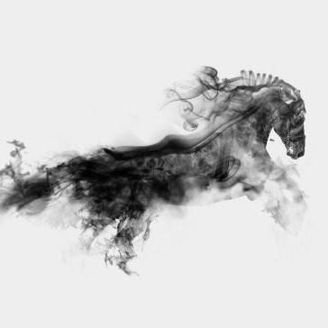 九九野馬