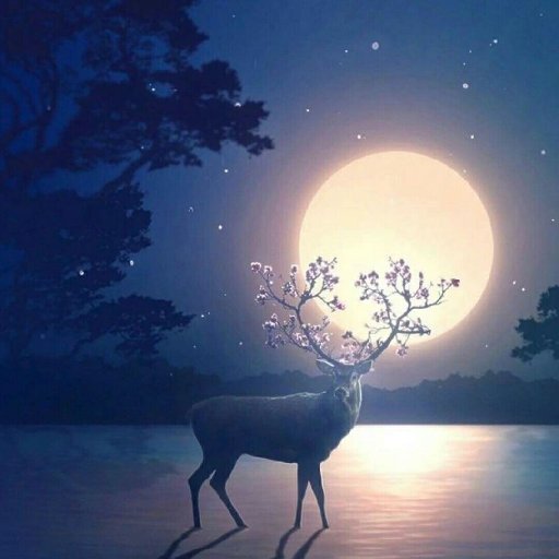 浪夜行