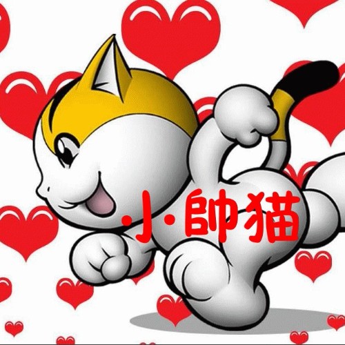 小帥貓王仲