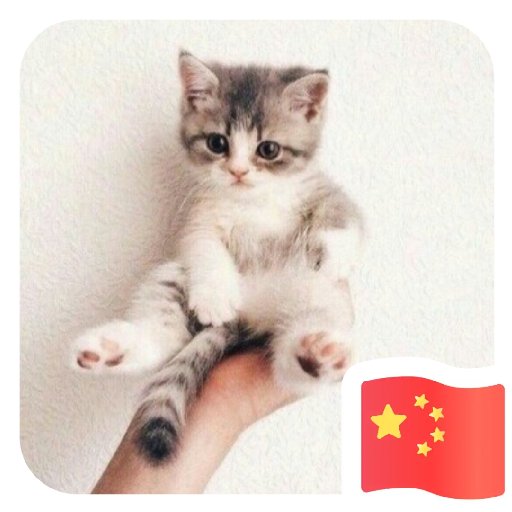 異鄉宅客