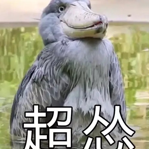 碎碎三千