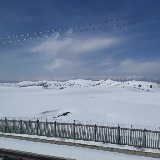 任風來
