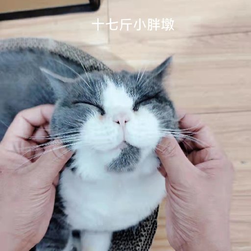 留白寶寶