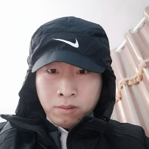 未有涯