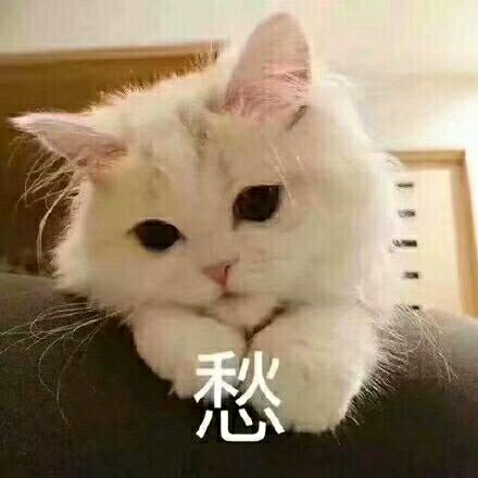 落羽之冬