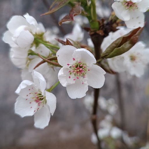 閑讀南華