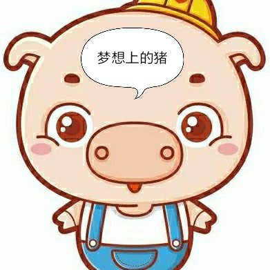 夢想上的豬
