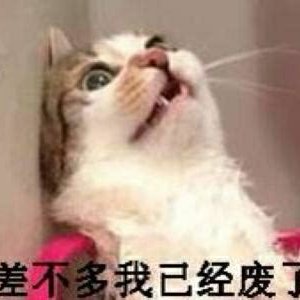 掰不開的橙子