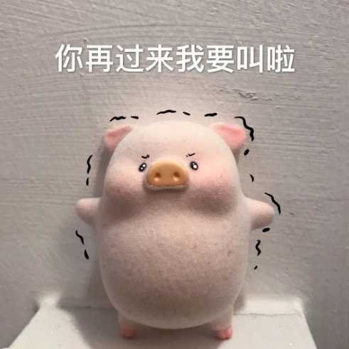 卿山雪