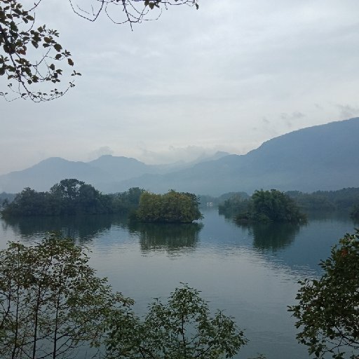 楓葉藍(lán)色