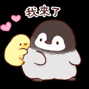 暗夜非黑夜