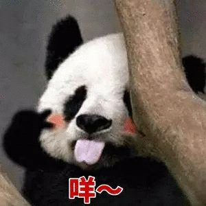 禾塢盎