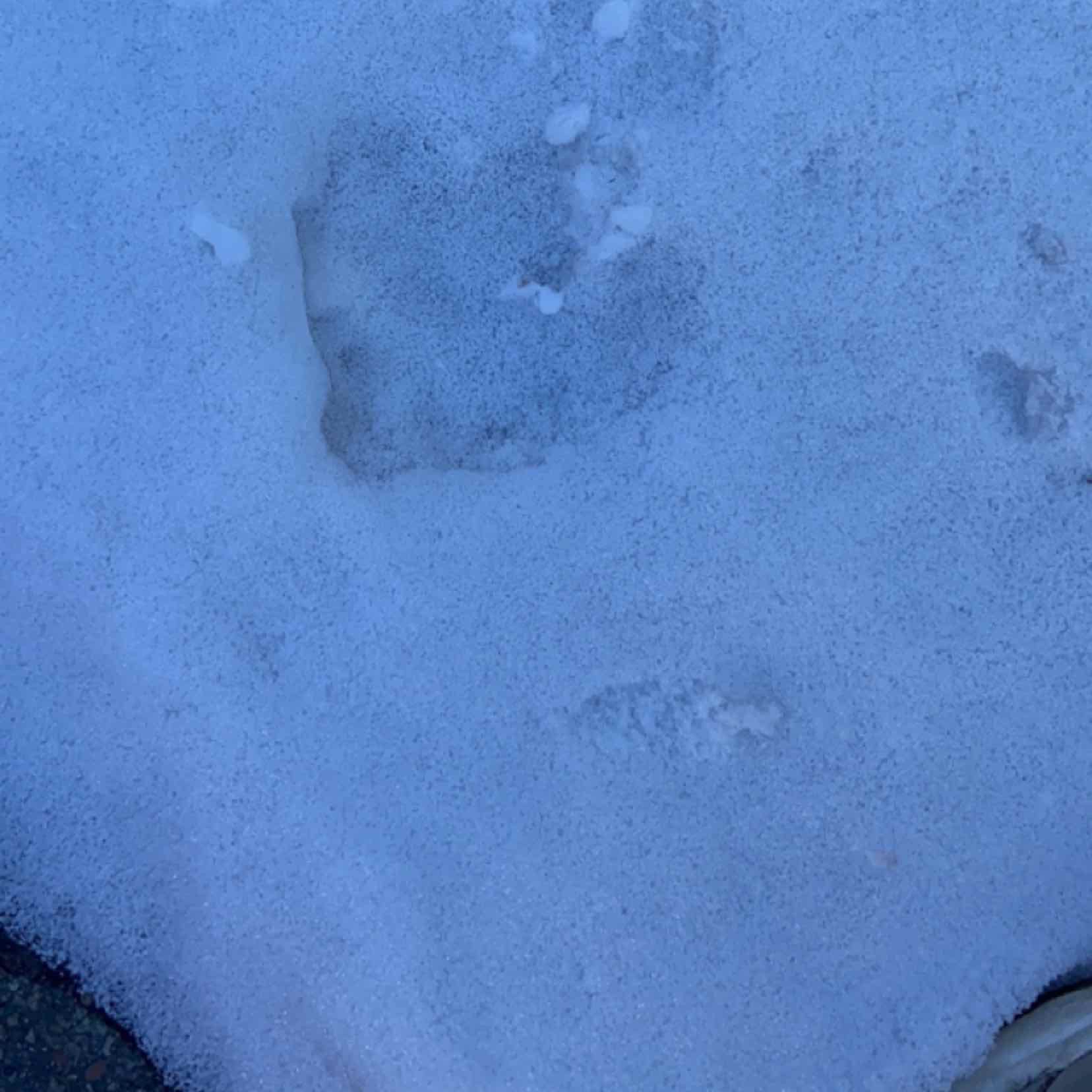 八月獨酌