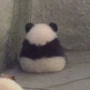 沁劍山莊莊主