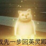 萌萌小尚中