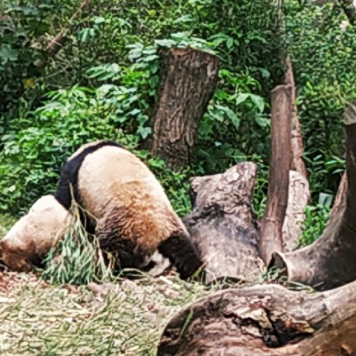 我吃點什么呢