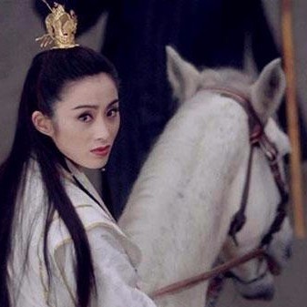 白鷗問我