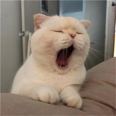 舜茵