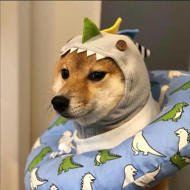 屮溟
