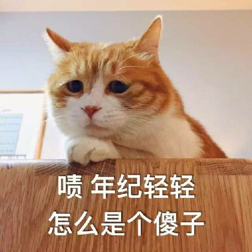 與君一夢