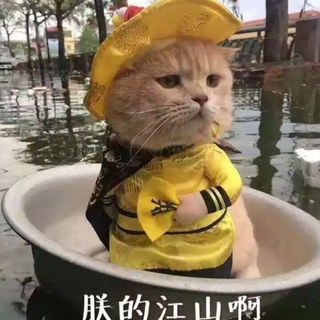 好龍公子