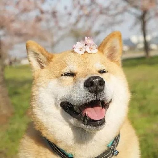 翌劫