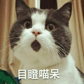 楓林晚坐