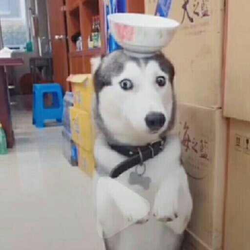 久慣