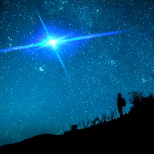 洛星洛小星
