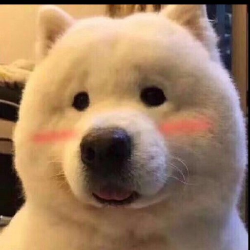 下鄉尋蘿