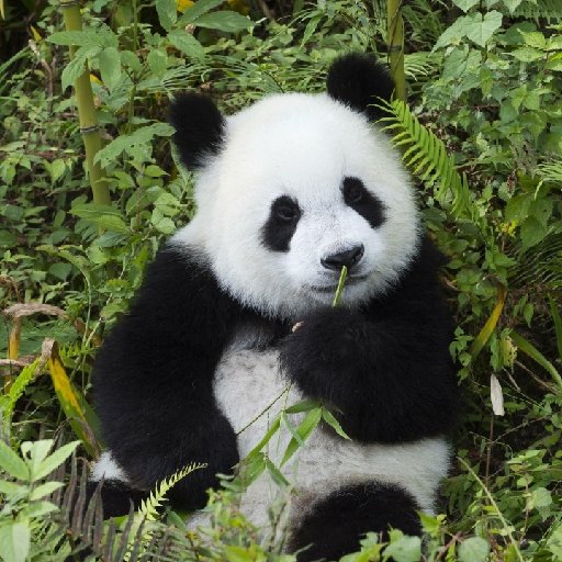 炊煙鳥裊