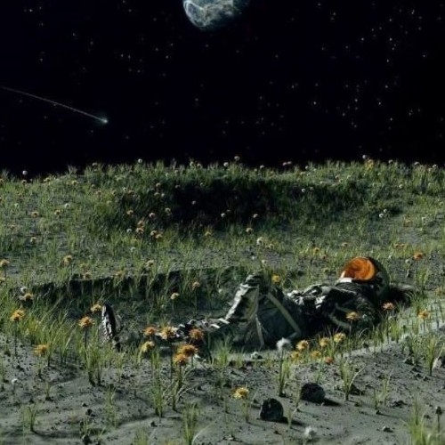 愚蠢的橘子