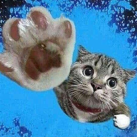 蜉途渡海