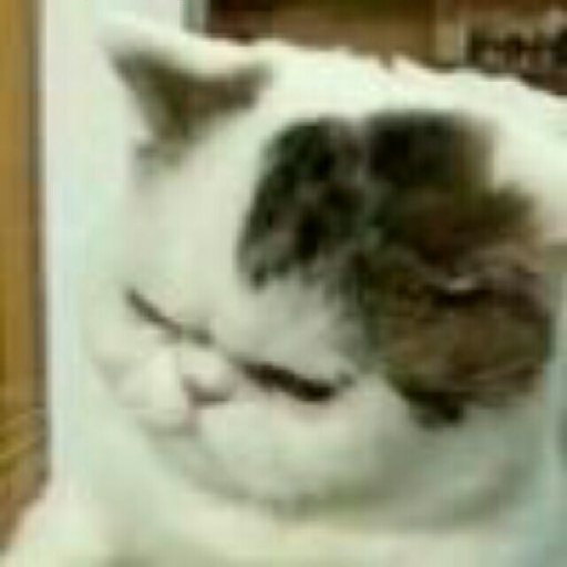 不聞語