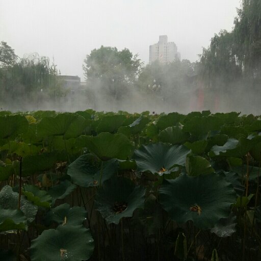 長橋盡頭
