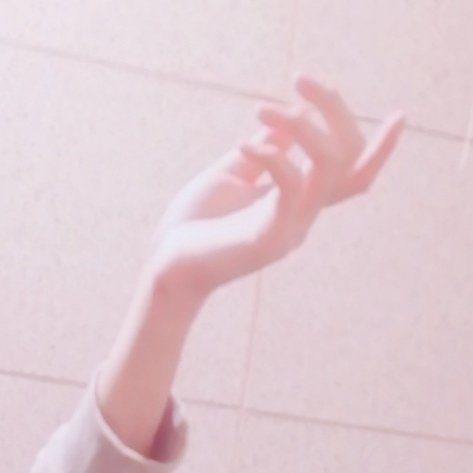 冷萌的檸萌君