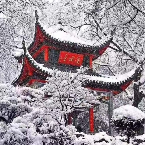 一指星光