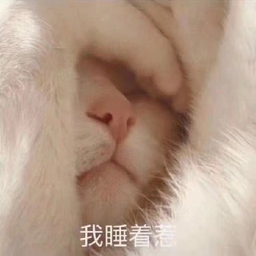 啦菜疙瘩