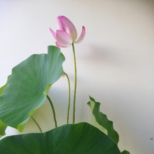 木漪歸塵