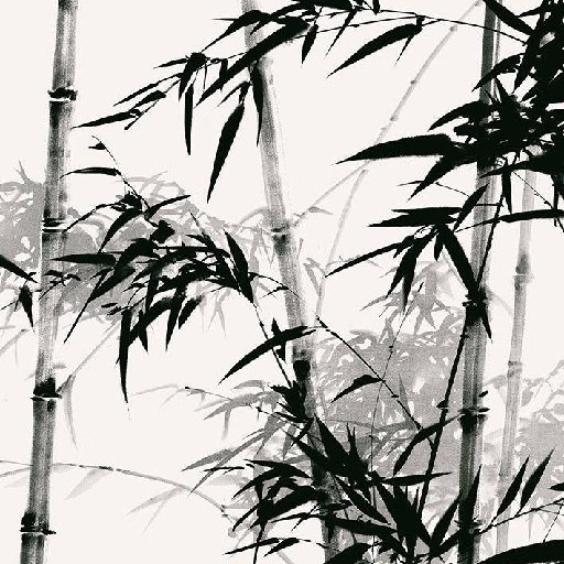 竺樂