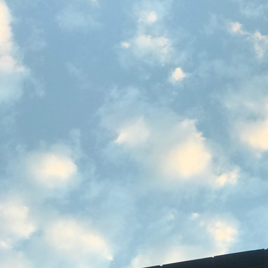 忽若暮春草