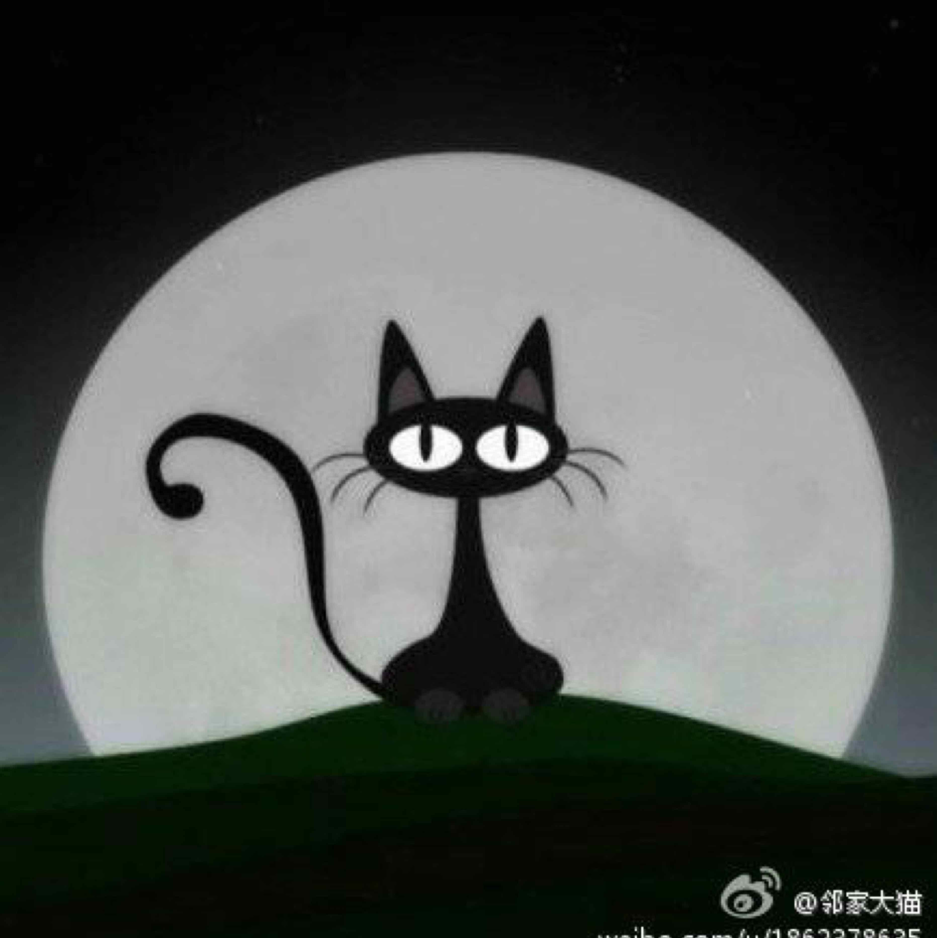 鄰家大貓
