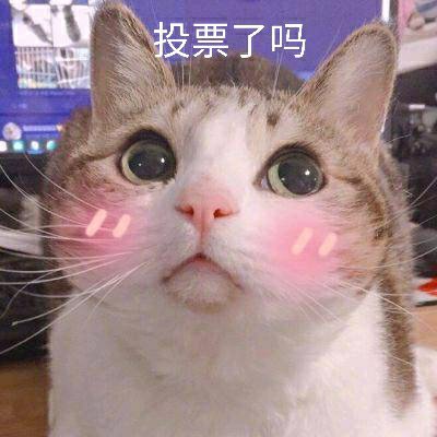 八色貓