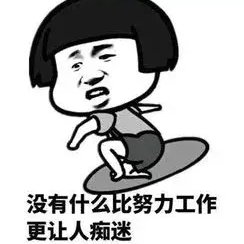 海邊駱駝