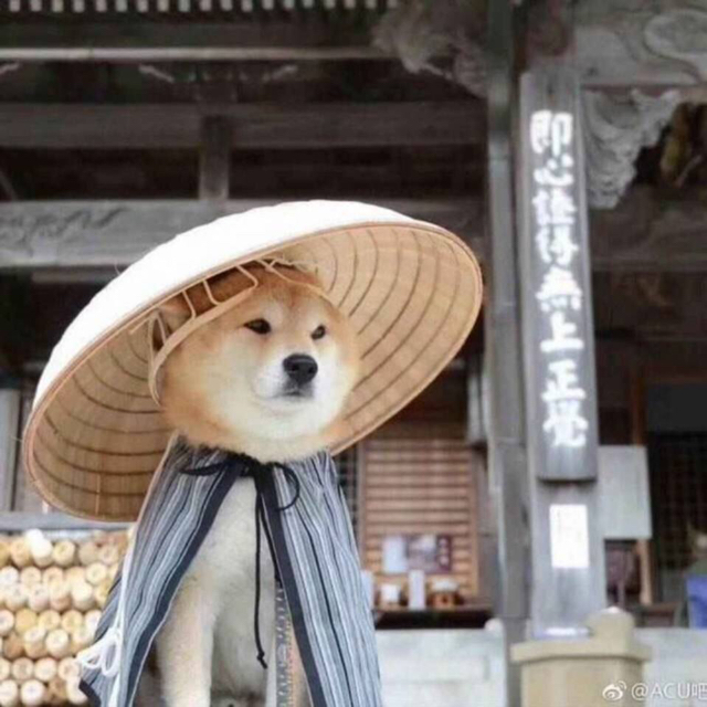 我不講道李