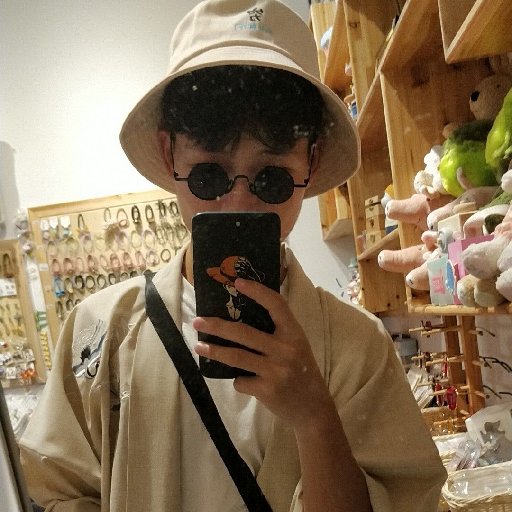 鼠窩一只豬